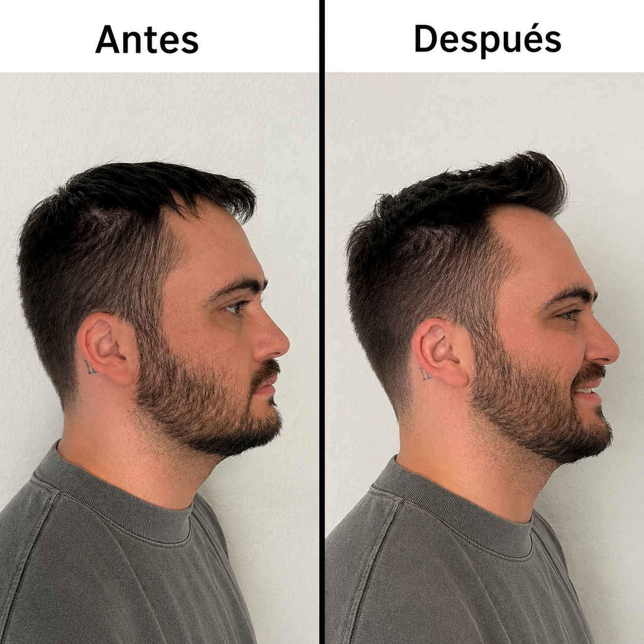 POLVO PARA PEINAR