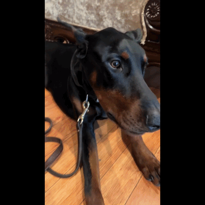 Mezcla de Omega-3 de Alaska salvaje Abadejo + Aceite de salmón